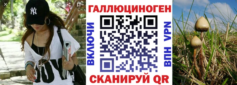 Галлюциногенные грибы мицелий  где можно купить   Правдинск 